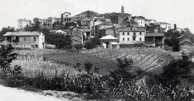 fmaranzana