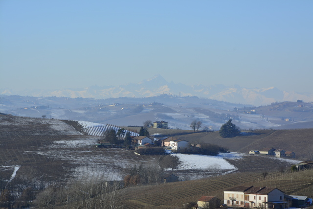 _DSC0065